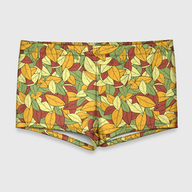 Мужские купальные плавки 3D с принтом Яркие осенние листья , Полиэстер 85%, Спандекс 15% |  | Тематика изображения на принте: желтые | зеленые | золотая | красные | листья | осенний | осень | яркие