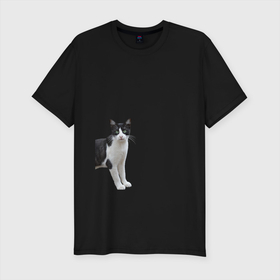 Мужская футболка хлопок Slim с принтом смотрящая кошка в Тюмени, 92% хлопок, 8% лайкра | приталенный силуэт, круглый вырез ворота, длина до линии бедра, короткий рукав | голова | домашнее животное | животное | зверь | кот | котёнок | кошка