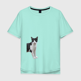 Мужская футболка хлопок Oversize с принтом смотрящая кошка в Кировске, 100% хлопок | свободный крой, круглый ворот, “спинка” длиннее передней части | Тематика изображения на принте: голова | домашнее животное | животное | зверь | кот | котёнок | кошка