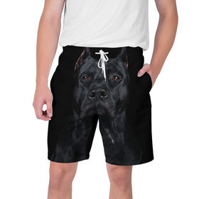 Мужские шорты 3D с принтом Кане-корсо | собака в Екатеринбурге,  полиэстер 100% | прямой крой, два кармана без застежек по бокам. Мягкая трикотажная резинка на поясе, внутри которой широкие завязки. Длина чуть выше колен | dog | домашние животные | кане корсо | питбуль | собака | собаки