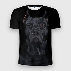 Мужская футболка 3D спортивная с принтом Кане-корсо | собака в Курске, 100% полиэстер с улучшенными характеристиками | приталенный силуэт, круглая горловина, широкие плечи, сужается к линии бедра | Тематика изображения на принте: dog | домашние животные | кане корсо | питбуль | собака | собаки