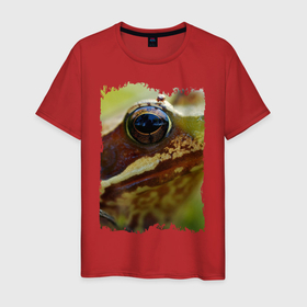 Мужская футболка хлопок с принтом Глаз лягушки в Санкт-Петербурге, 100% хлопок | прямой крой, круглый вырез горловины, длина до линии бедер, слегка спущенное плечо. | глаз | глаз лягушки | круто | лягушка | модно | номер один | тренд