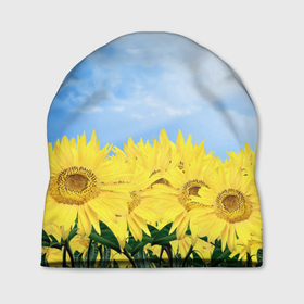 Шапка 3D с принтом Подсолнухи в Курске, 100% полиэстер | универсальный размер, печать по всей поверхности изделия | flowers | sky | summer | sunflowers | лето | небо | подсолнухи | цветы
