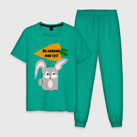 Мужская пижама хлопок с принтом Не зайкай в Петрозаводске, 100% хлопок | брюки и футболка прямого кроя, без карманов, на брюках мягкая резинка на поясе и по низу штанин
 | заяц | звери | морковь | надпись | юмор