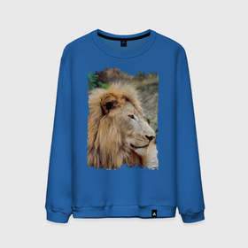 Мужской свитшот хлопок с принтом Лев царь зверей в Тюмени, 100% хлопок |  | animal | king | lion | дикая кошка | дикий кот | животные | лев