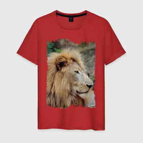 Мужская футболка хлопок с принтом Лев царь зверей в Новосибирске, 100% хлопок | прямой крой, круглый вырез горловины, длина до линии бедер, слегка спущенное плечо. | animal | king | lion | дикая кошка | дикий кот | животные | лев