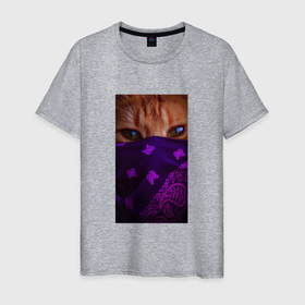 Мужская футболка хлопок с принтом Кот в платке в Белгороде, 100% хлопок | прямой крой, круглый вырез горловины, длина до линии бедер, слегка спущенное плечо. | глаза | кот | кошачьи глаза | кошка | платок