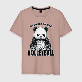 Мужская футболка хлопок с принтом Volleyball Panda в Белгороде, 100% хлопок | прямой крой, круглый вырез горловины, длина до линии бедер, слегка спущенное плечо. | ball | beach | game | panda | sport | volley | volleyball | волейбол | волейболист | волейболистка | гол | животные | игра | игрок | медведь | мяч | панда | площадка | пляж | пляжный | победа | сетка | спорт | тренер | чемпион