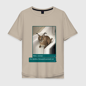 Мужская футболка хлопок Oversize с принтом Шлёпа в Санкт-Петербурге, 100% хлопок | свободный крой, круглый ворот, “спинка” длиннее передней части | Тематика изображения на принте: каракал | кот | мемы | русский кот | рысь | шлёпа