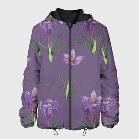 Мужская куртка 3D с принтом Цветы шафрана на фиолетовом в Новосибирске, ткань верха — 100% полиэстер, подклад — флис | прямой крой, подол и капюшон оформлены резинкой с фиксаторами, два кармана без застежек по бокам, один большой потайной карман на груди. Карман на груди застегивается на липучку | Тематика изображения на принте: 8 марта | flowers | march 8 | spring | ботаническая иллюстрация | весна | день рождения | зеленый | лето | любовь | праздник | принт | природа | растения | фиолетовый | цветы | шафран