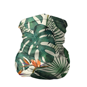 Бандана-труба 3D с принтом Тропический паттерн в Тюмени, 100% полиэстер, ткань с особыми свойствами — Activecool | плотность 150‒180 г/м2; хорошо тянется, но сохраняет форму | азия | акварель | акварельный | банановые листья | ботанический | винтажный | зеленый | иллюстрация | лес | летний | лето | монстера | оранжевый | отпуск | пальмовые листья | стрелиция | тропики