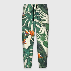 Мужские брюки 3D с принтом Тропический паттерн , 100% полиэстер | манжеты по низу, эластичный пояс регулируется шнурком, по бокам два кармана без застежек, внутренняя часть кармана из мелкой сетки | азия | акварель | акварельный | банановые листья | ботанический | винтажный | зеленый | иллюстрация | лес | летний | лето | монстера | оранжевый | отпуск | пальмовые листья | стрелиция | тропики