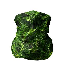 Бандана-труба 3D с принтом Хвойная масса , 100% полиэстер, ткань с особыми свойствами — Activecool | плотность 150‒180 г/м2; хорошо тянется, но сохраняет форму | Тематика изображения на принте: art | елка | зелень | растение | хвойник