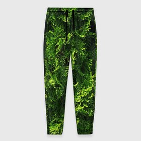 Мужские брюки 3D с принтом Хвойная масса в Тюмени, 100% полиэстер | манжеты по низу, эластичный пояс регулируется шнурком, по бокам два кармана без застежек, внутренняя часть кармана из мелкой сетки | art | елка | зелень | растение | хвойник