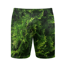 Мужские шорты спортивные с принтом Хвойная масса ,  |  | Тематика изображения на принте: art | елка | зелень | растение | хвойник
