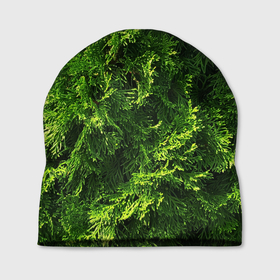 Шапка 3D с принтом Хвойная масса в Курске, 100% полиэстер | универсальный размер, печать по всей поверхности изделия | art | елка | зелень | растение | хвойник