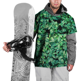 Накидка на куртку 3D с принтом Барвинок  в Тюмени, 100% полиэстер |  | art | ветви. | зелень | листья | натуральное | природа | растение