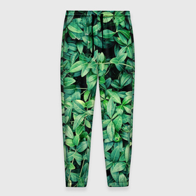 Мужские брюки 3D с принтом Барвинок  , 100% полиэстер | манжеты по низу, эластичный пояс регулируется шнурком, по бокам два кармана без застежек, внутренняя часть кармана из мелкой сетки | art | ветви. | зелень | листья | натуральное | природа | растение