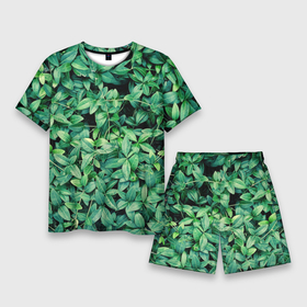 Мужской костюм с шортами 3D с принтом Барвинок ,  |  | art | ветви. | зелень | листья | натуральное | природа | растение