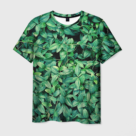 Мужская футболка 3D с принтом Барвинок  в Екатеринбурге, 100% полиэфир | прямой крой, круглый вырез горловины, длина до линии бедер | art | ветви. | зелень | листья | натуральное | природа | растение