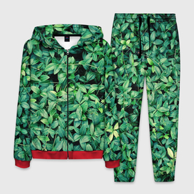 Мужской костюм 3D с принтом Барвинок  в Курске, 100% полиэстер | Манжеты и пояс оформлены тканевой резинкой, двухслойный капюшон со шнурком для регулировки, карманы спереди | Тематика изображения на принте: art | ветви. | зелень | листья | натуральное | природа | растение
