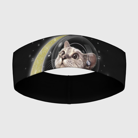 Повязка на голову 3D с принтом КОТИК НА ЛУНЕ в Санкт-Петербурге,  |  | astronawt | cat | dark | music | night | space | stars | астронавт | животные | звезды | звери | космонавт | космос | кот | котик | музыка | ночь | плеер | скафандр