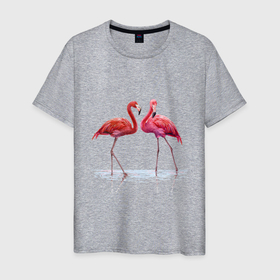 Мужская футболка хлопок с принтом Фламинго пара , 100% хлопок | прямой крой, круглый вырез горловины, длина до линии бедер, слегка спущенное плечо. | пара | птицы | розовые птицы | фламинго | фламинго пара