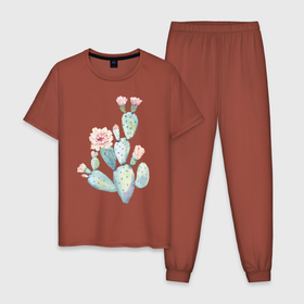 Мужская пижама хлопок с принтом Нежный акварельный кактус  в Тюмени, 100% хлопок | брюки и футболка прямого кроя, без карманов, на брюках мягкая резинка на поясе и по низу штанин
 | акварель | кактус | колючий | нежный акварельный кактус | растение | цветок