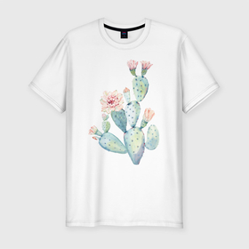 Мужская футболка хлопок Slim с принтом Нежный акварельный кактус  в Тюмени, 92% хлопок, 8% лайкра | приталенный силуэт, круглый вырез ворота, длина до линии бедра, короткий рукав | акварель | кактус | колючий | нежный акварельный кактус | растение | цветок