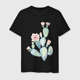 Мужская футболка хлопок с принтом Нежный акварельный кактус  в Тюмени, 100% хлопок | прямой крой, круглый вырез горловины, длина до линии бедер, слегка спущенное плечо. | Тематика изображения на принте: акварель | кактус | колючий | нежный акварельный кактус | растение | цветок