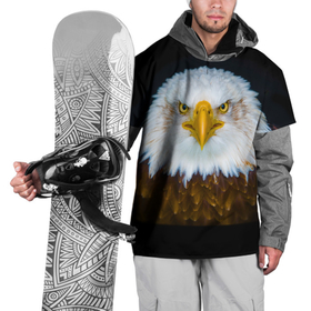Накидка на куртку 3D с принтом Белоголовый орлан в Екатеринбурге, 100% полиэстер |  | грозный | красивый | опасный | орлан | пернатый | птица | хищный