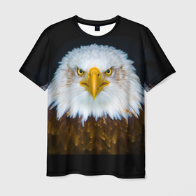 Мужская футболка 3D с принтом Белоголовый орлан в Новосибирске, 100% полиэфир | прямой крой, круглый вырез горловины, длина до линии бедер | грозный | красивый | опасный | орлан | пернатый | птица | хищный