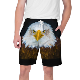 Мужские шорты 3D с принтом Белоголовый орлан в Тюмени,  полиэстер 100% | прямой крой, два кармана без застежек по бокам. Мягкая трикотажная резинка на поясе, внутри которой широкие завязки. Длина чуть выше колен | грозный | красивый | опасный | орлан | пернатый | птица | хищный