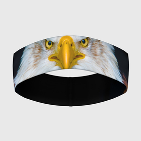 Повязка на голову 3D с принтом Белоголовый орлан ,  |  | грозный | красивый | опасный | орлан | пернатый | птица | хищный