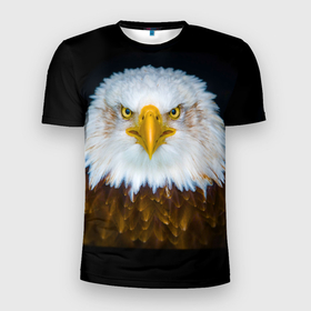 Мужская футболка 3D спортивная с принтом Белоголовый орлан в Новосибирске, 100% полиэстер с улучшенными характеристиками | приталенный силуэт, круглая горловина, широкие плечи, сужается к линии бедра | грозный | красивый | опасный | орлан | пернатый | птица | хищный