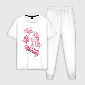Мужская пижама хлопок с принтом Цветение вишни в Петрозаводске, 100% хлопок | брюки и футболка прямого кроя, без карманов, на брюках мягкая резинка на поясе и по низу штанин
 | ветки | веточка | вишня | сакура | цветение вишни | цветы