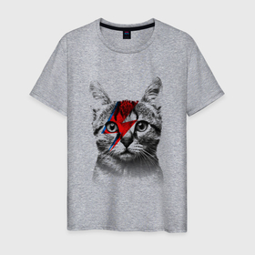 Мужская футболка хлопок с принтом Серый кот с молнией в Белгороде, 100% хлопок | прямой крой, круглый вырез горловины, длина до линии бедер, слегка спущенное плечо. | cat | кис кис | киска | кися | котенок | коты | котэ | кошки | молния | усы