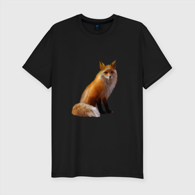 Мужская футболка хлопок Slim с принтом лиса в Белгороде, 92% хлопок, 8% лайкра | приталенный силуэт, круглый вырез ворота, длина до линии бедра, короткий рукав | животное | зверь | лисица | пушистая лисичка | хищник