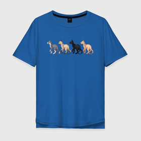 Мужская футболка хлопок Oversize с принтом Сфинксы , 100% хлопок | свободный крой, круглый ворот, “спинка” длиннее передней части | Тематика изображения на принте: группа котов | домашние любимцы | животные | кот | коты | лысый кот | сфинкс