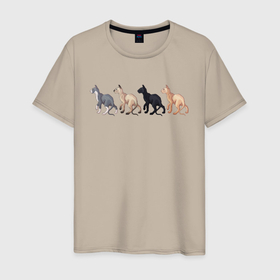 Мужская футболка хлопок с принтом Сфинксы , 100% хлопок | прямой крой, круглый вырез горловины, длина до линии бедер, слегка спущенное плечо. | группа котов | домашние любимцы | животные | кот | коты | лысый кот | сфинкс