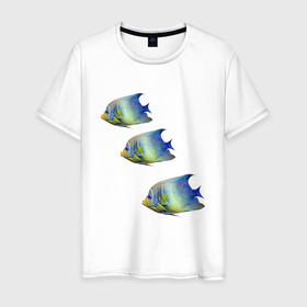 Мужская футболка хлопок с принтом Рыба  в Екатеринбурге, 100% хлопок | прямой крой, круглый вырез горловины, длина до линии бедер, слегка спущенное плечо. | fish | море | морские жители | океан | рыба