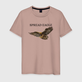Мужская футболка хлопок с принтом Орел  в Екатеринбурге, 100% хлопок | прямой крой, круглый вырез горловины, длина до линии бедер, слегка спущенное плечо. | eagle | predator | spread | орел | хищник