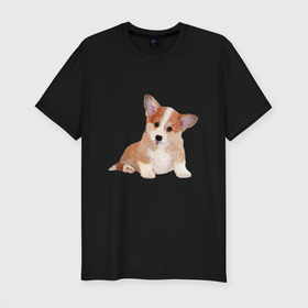 Мужская футболка хлопок Slim с принтом Fluffy Corgi , 92% хлопок, 8% лайкра | приталенный силуэт, круглый вырез ворота, длина до линии бедра, короткий рукав | corgi | dog | fluffy | puppy | корги | милый | пушистый | собака | щенок