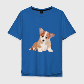 Мужская футболка хлопок Oversize с принтом Fluffy Corgi в Петрозаводске, 100% хлопок | свободный крой, круглый ворот, “спинка” длиннее передней части | Тематика изображения на принте: corgi | dog | fluffy | puppy | корги | милый | пушистый | собака | щенок