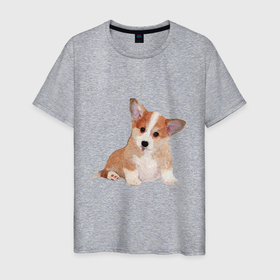 Мужская футболка хлопок с принтом Fluffy Corgi в Петрозаводске, 100% хлопок | прямой крой, круглый вырез горловины, длина до линии бедер, слегка спущенное плечо. | Тематика изображения на принте: corgi | dog | fluffy | puppy | корги | милый | пушистый | собака | щенок