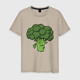 Мужская футболка хлопок с принтом Брокколи в Тюмени, 100% хлопок | прямой крой, круглый вырез горловины, длина до линии бедер, слегка спущенное плечо. | Тематика изображения на принте: брокколи | еда | зож | капуста | овощ | растения