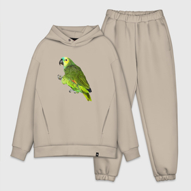 Мужской костюм хлопок OVERSIZE с принтом Попугайчик в Тюмени,  |  | bird | parrot | wings | крылья | попугай | птица