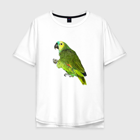 Мужская футболка хлопок Oversize с принтом Попугайчик в Курске, 100% хлопок | свободный крой, круглый ворот, “спинка” длиннее передней части | bird | parrot | wings | крылья | попугай | птица