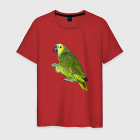 Мужская футболка хлопок с принтом Попугайчик в Кировске, 100% хлопок | прямой крой, круглый вырез горловины, длина до линии бедер, слегка спущенное плечо. | bird | parrot | wings | крылья | попугай | птица