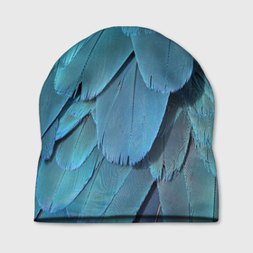 Шапка 3D с принтом Перья попугая в Курске, 100% полиэстер | универсальный размер, печать по всей поверхности изделия | абстрактно | абстрактные | абстрактный | абстракции | абстракция | животное | животные | орнитология | перо | перья | попугаи | попугай | попугая | птица | птицы